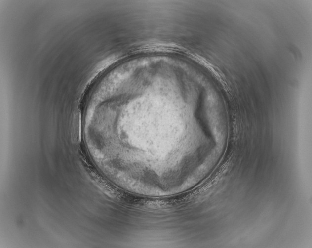 X0000111041219200907161338