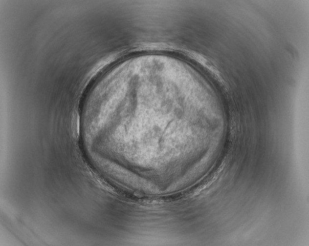 X0000111041221200907161338