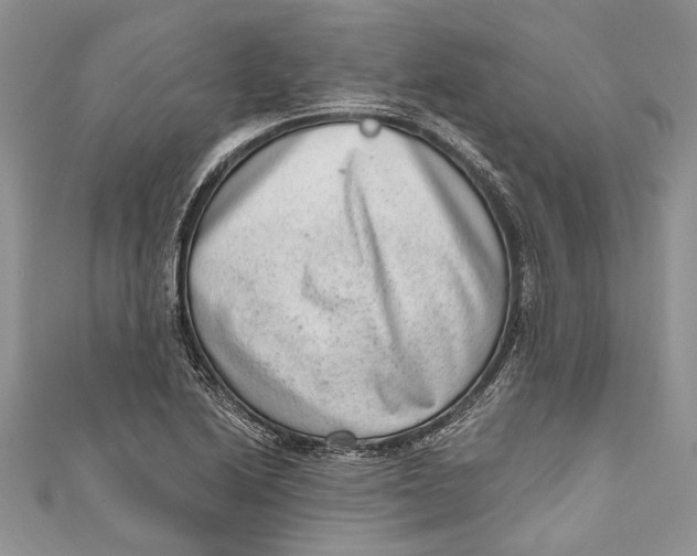 X0000111041222200907161338