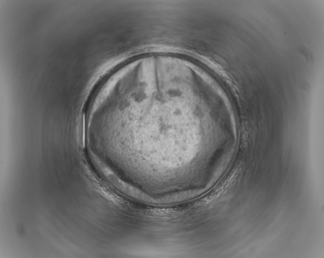 X0000111041223200907161338