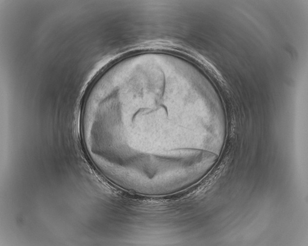 X0000111041224200907161338