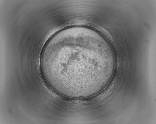 X0000111041226200907161338