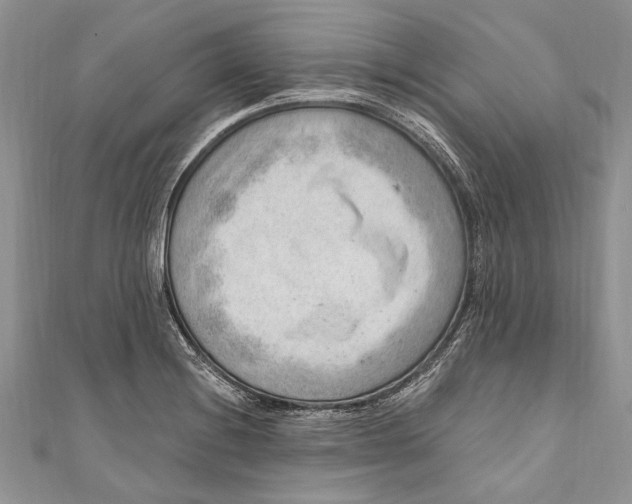 X0000111041228200907161338