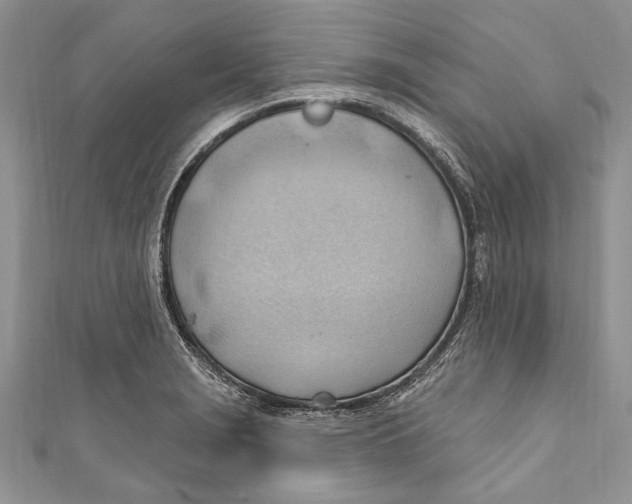 X0000111041229200907161338