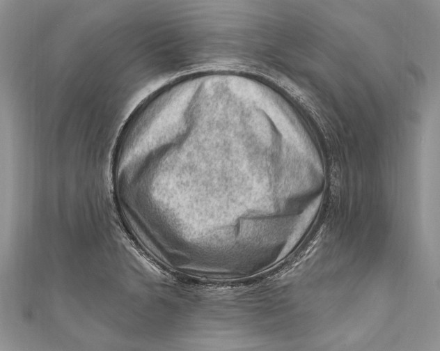 X0000111041230200907161338