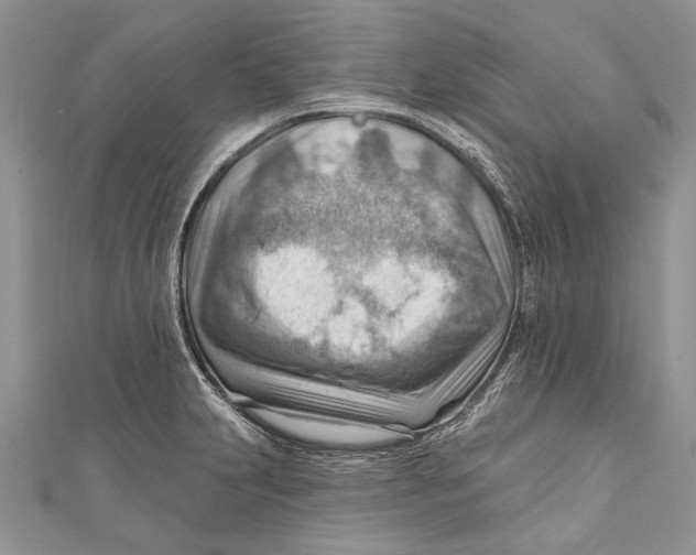 X0000111041231200907161338