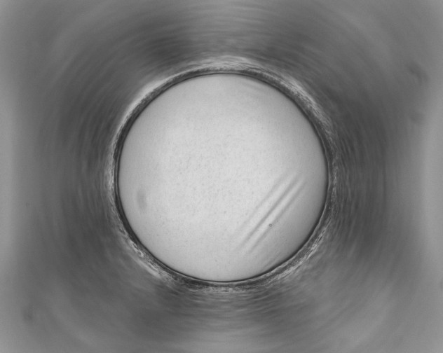 X0000111041232200907161338