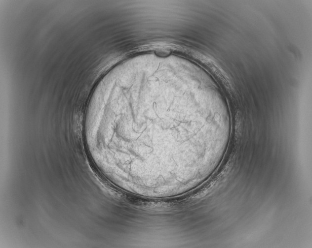 X0000111041233200907161338