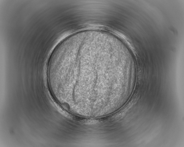 X0000111041235200907161338