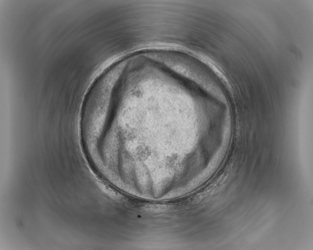 X0000111041237200907161338