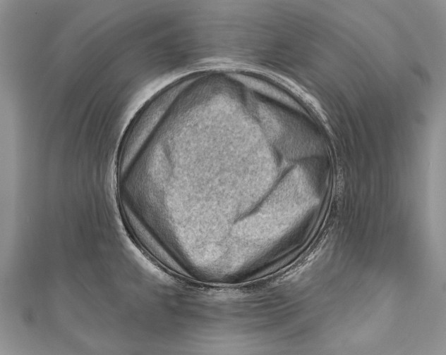 X0000111041239200907161338