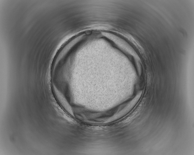 X0000111041240200907161338