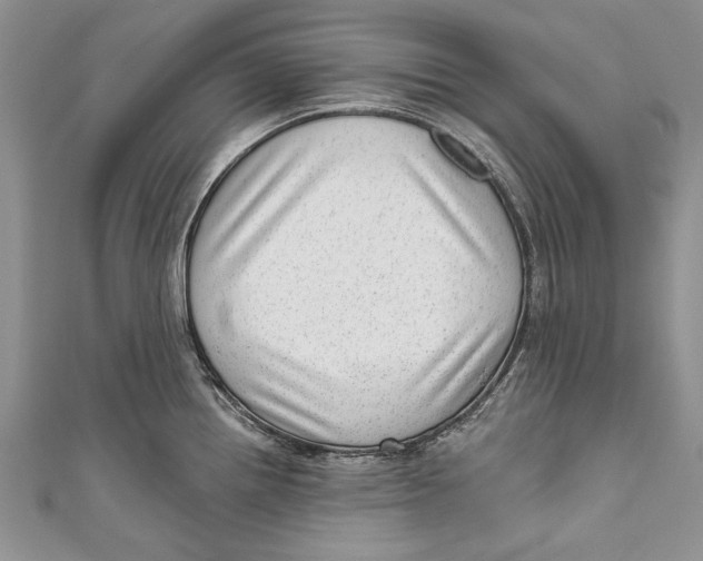 X0000111041242200907161338