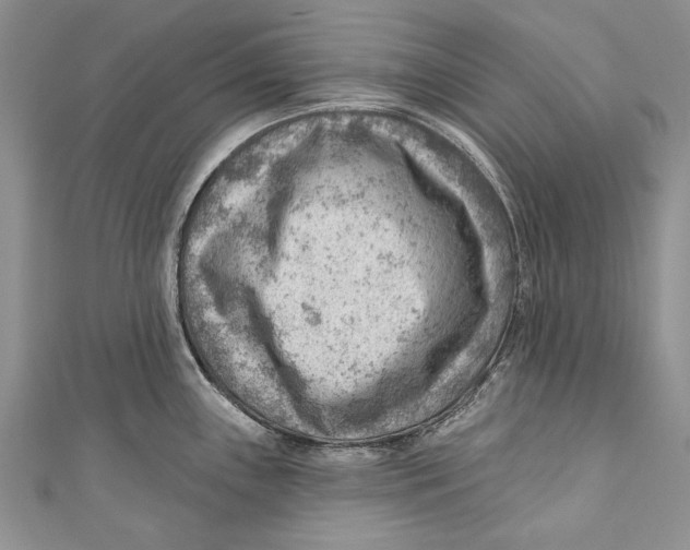 X0000111041243200907161338