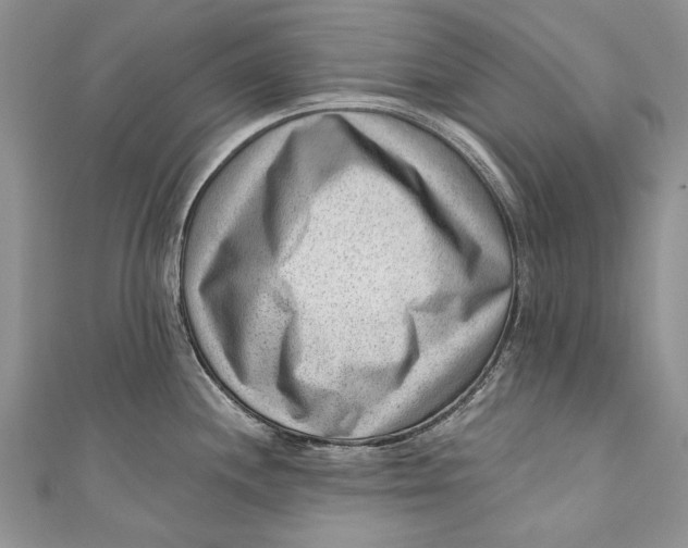 X0000111041244200907161338