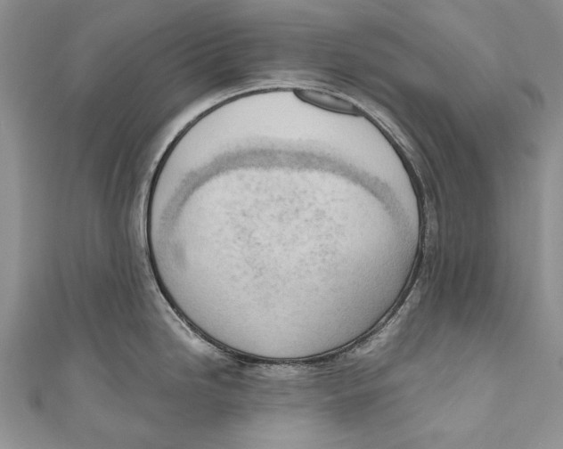 X0000111041246200907161338