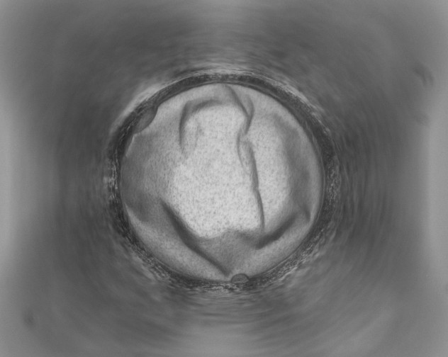 X0000111041255200907161338