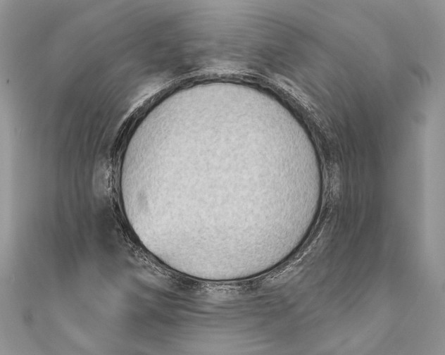 X0000111041258200907161337