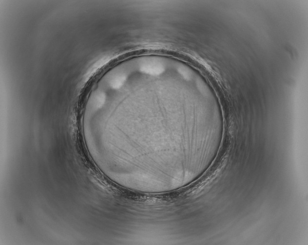 X0000111041263200907161337