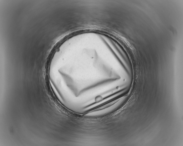 X0000111041264200907161337