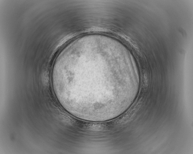 X0000111041266200907161337