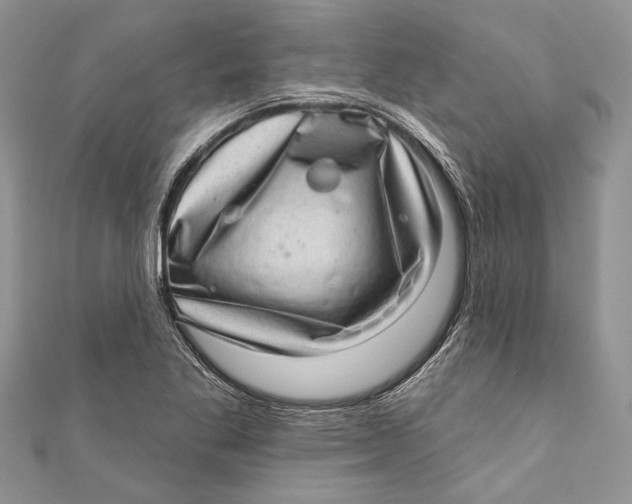 X0000111041269200907161337