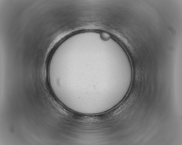 X0000111041270200907161337