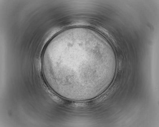 X0000111041274200907161337