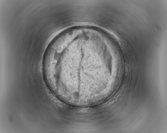 X0000111041279200907161337