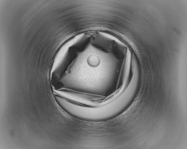 X0000111041281200907161337