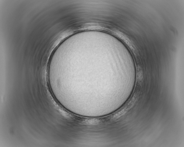 X0000111041282200907161337