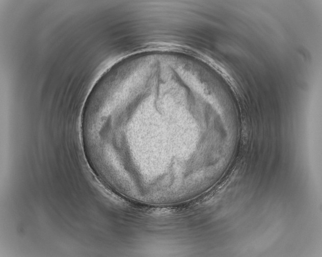 X0000111041283200907161337