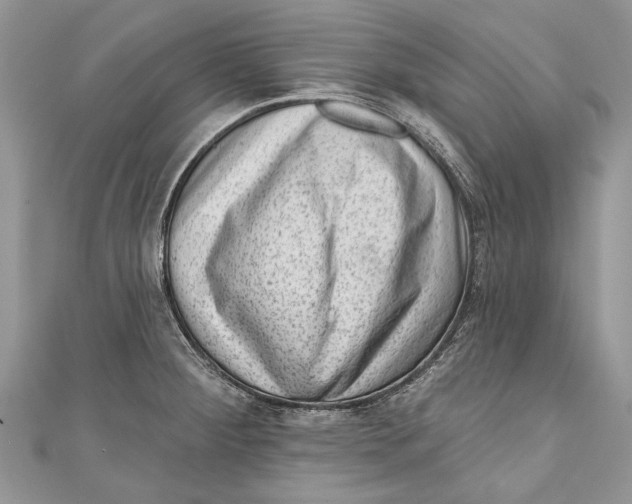 X0000111041284200907161337