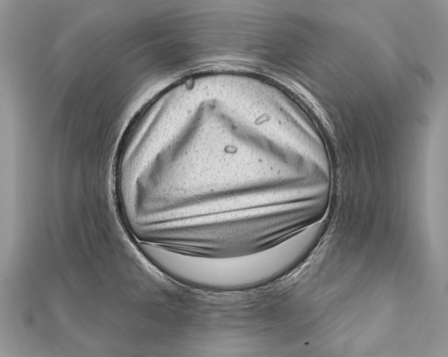 X0000111041285200907161337