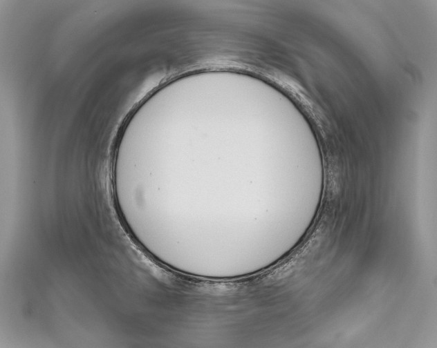 X0000111041286200907161337