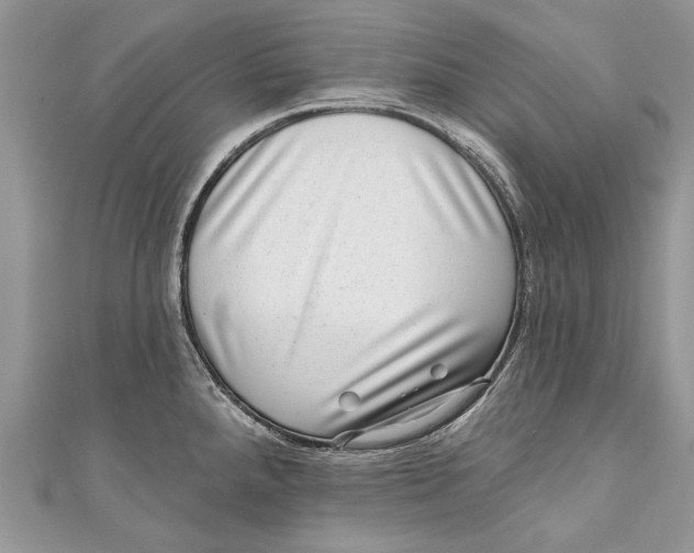 X0000111041288200907161337