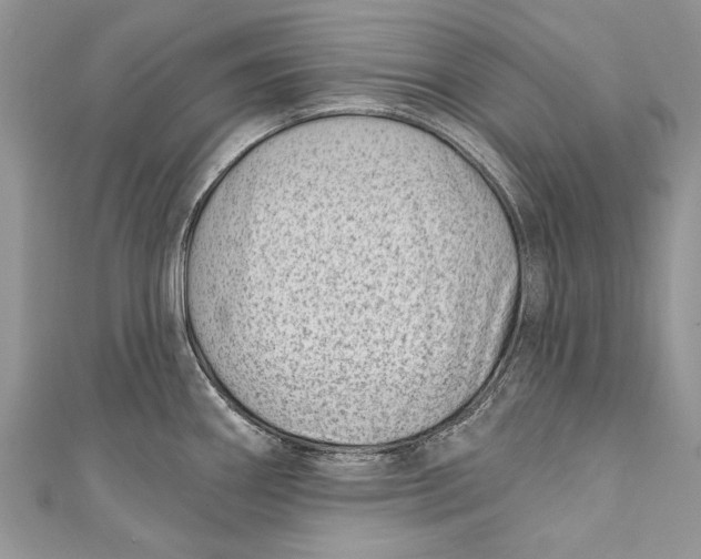 X0000111041290200907161337