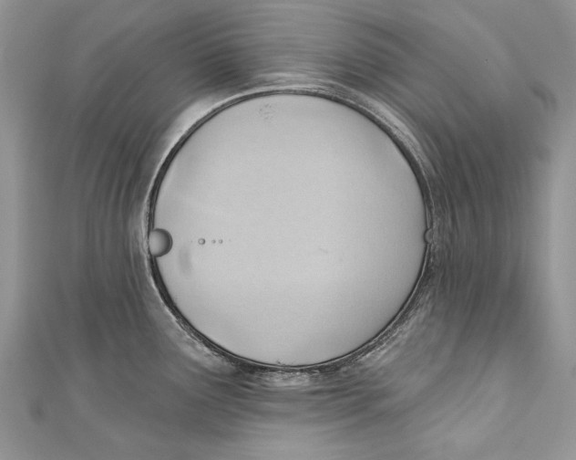 X0000111041291200907161337