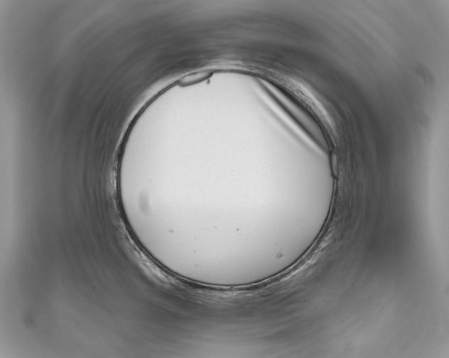 X0000111041292200907161337