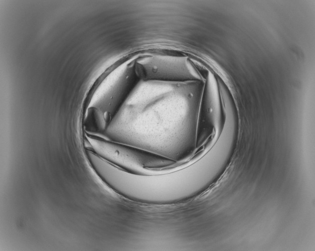 X0000111041293200907161337