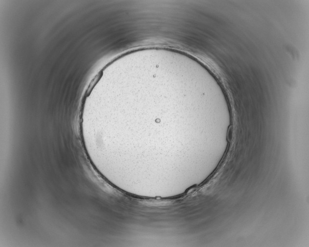 X0000111041296200907161337