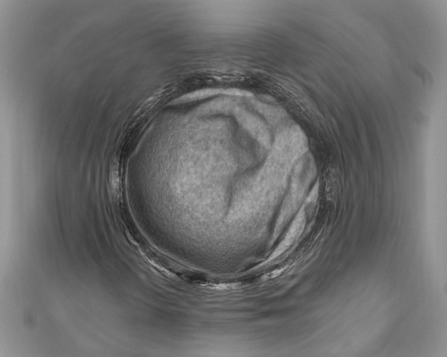 X0000111041298200907161336