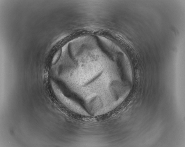 X0000111041302200907161336