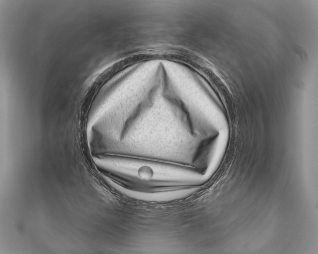 X0000111041304200907161336