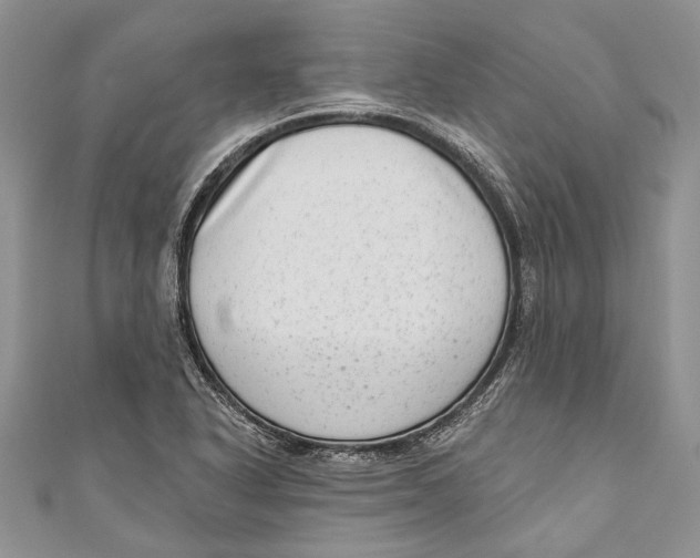 X0000111041318200907161337