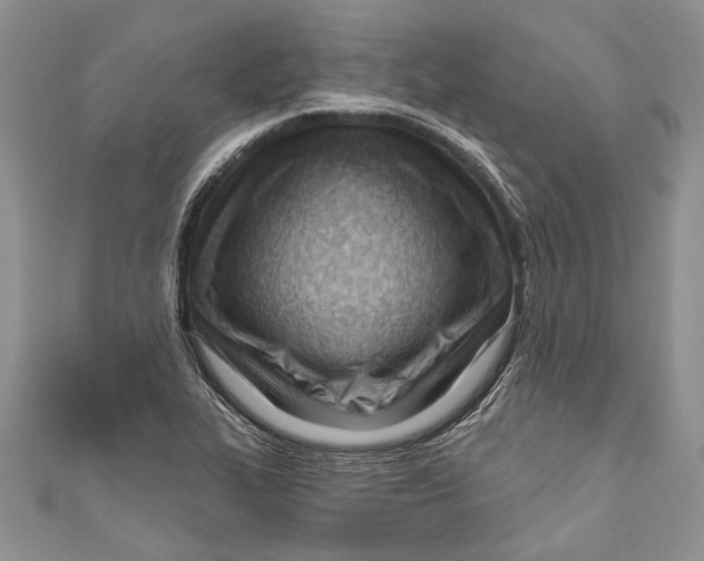 X0000111041319200907161337