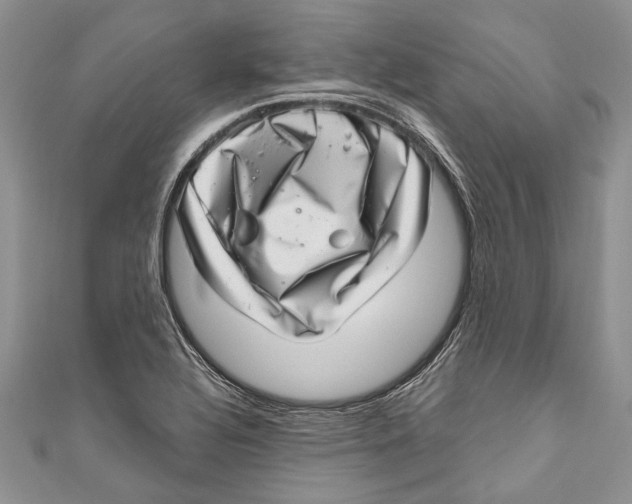 X0000111041320200907161337