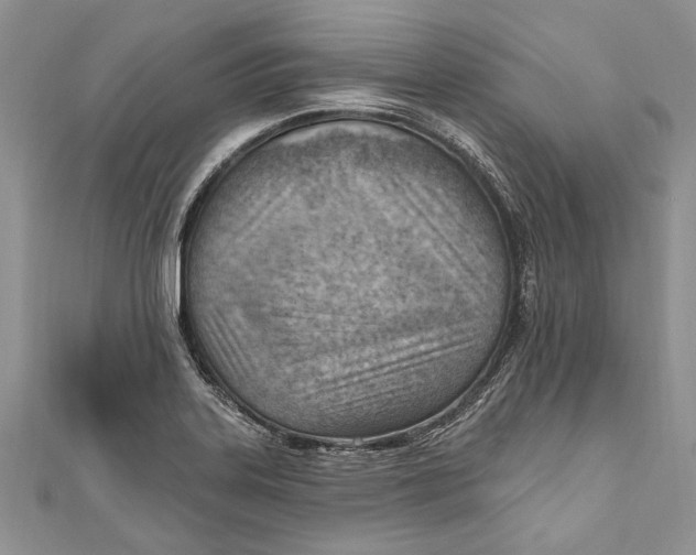 X0000111041323200907161337