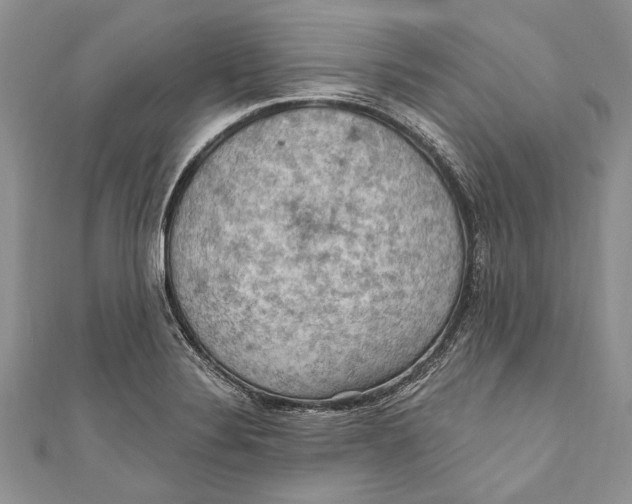 X0000111041324200907161337