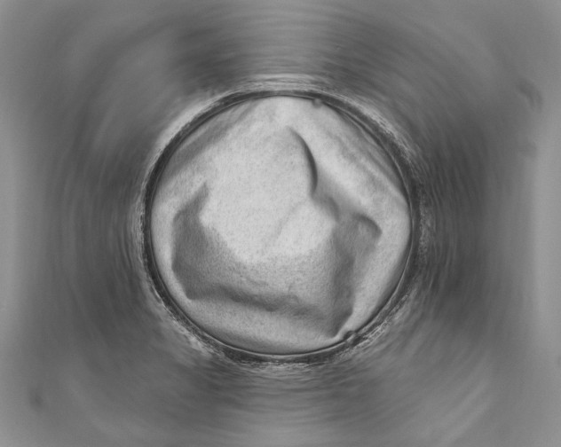 X0000111041325200907161337